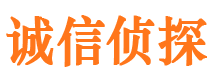 日土诚信私家侦探公司